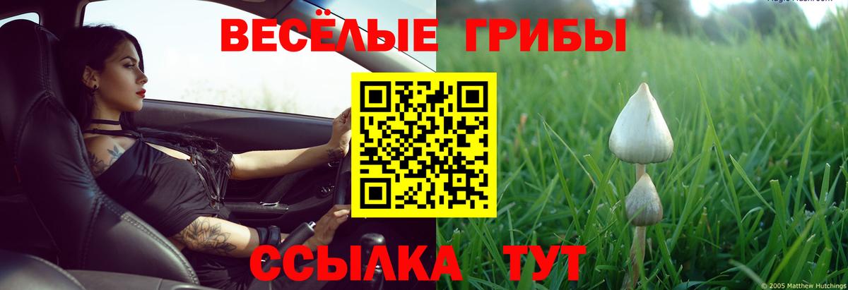 Михайловка  Псилоцибиновые грибы ЛСД  Вход с VPN 